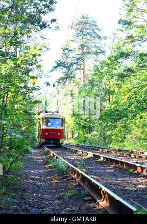 Retro-rote Triebwagen fährt auf der gleichen Bahn den Wald. Stockfoto