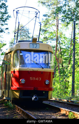 Retro-rote Triebwagen fährt auf der gleichen Bahn den Wald. Stockfoto