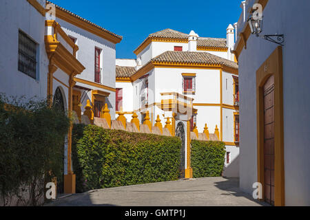 Calle Circo, von der Plaza de Toros De La Real Maestranza de Caballería de Sevilla (Royal Stierkampfarena von Sevilla), Andalusien, Spanien Stockfoto