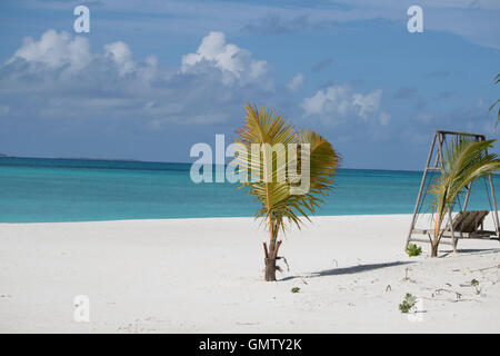 Einen schönen Blick auf zwei Palme auf einer Insel auf den Malediven Stockfoto