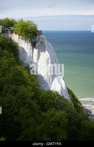 Koenigsstuhl, Könige Stuhl, ist der bekannteste Kreidefelsen auf der Stubbenkammer im Nationalpark Jasmund an der Ostsee Stockfoto