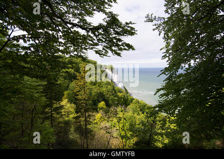 Koenigsstuhl, Könige Stuhl, ist der bekannteste Kreidefelsen auf der Stubbenkammer im Nationalpark Jasmund an der Ostsee Stockfoto