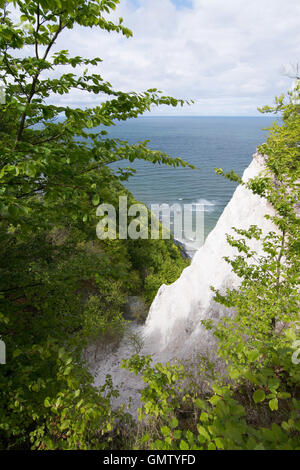 Koenigsstuhl, Könige Stuhl, ist der bekannteste Kreidefelsen auf der Stubbenkammer im Nationalpark Jasmund an der Ostsee Stockfoto