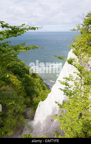 Koenigsstuhl, Könige Stuhl, ist der bekannteste Kreidefelsen auf der Stubbenkammer im Nationalpark Jasmund an der Ostsee Stockfoto