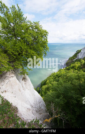 Koenigsstuhl, Könige Stuhl, ist der bekannteste Kreidefelsen auf der Stubbenkammer im Nationalpark Jasmund an der Ostsee Stockfoto