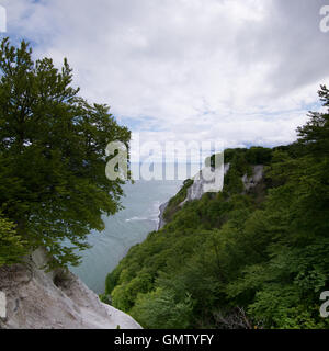 Koenigsstuhl, Könige Stuhl, ist der bekannteste Kreidefelsen auf der Stubbenkammer im Nationalpark Jasmund an der Ostsee Stockfoto