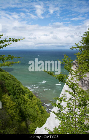 Koenigsstuhl, Könige Stuhl, ist der bekannteste Kreidefelsen auf der Stubbenkammer im Nationalpark Jasmund an der Ostsee Stockfoto