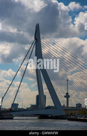 berühmte Erasmusbrücke oder Zwaan über die Maas in Rotterdam holland Stockfoto