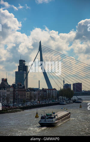 berühmte Erasmusbrücke oder Zwaan über die Maas in Rotterdam holland Stockfoto