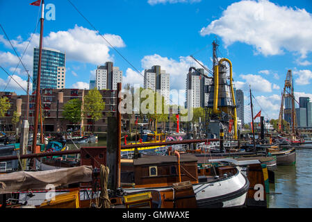 Wohnungen und Häuser am Hafen in Blaak in Rotterdam holland Stockfoto