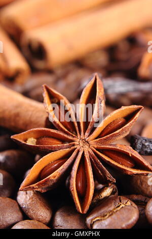 Nahaufnahme von Sternanis, frisch duftender Vanilleschoten, Zimtstangen und Kaffeekörner, Gewürz-Zutaten zum Kochen Stockfoto