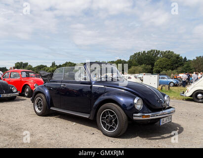 Volkswagen Käfer-Treffen in Celle, Deutschland Stockfoto