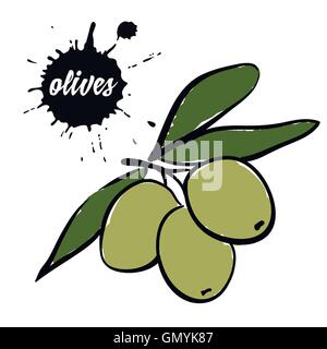 Beeren, grüne Oliven Stock Vektor