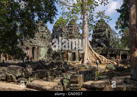 Siem Reap, Kambodscha - 28. Juli 2010: großer Baum und Ruinen der Tempel Ta Prohm, Angkor Gebiet, Siem Reap, Kambodscha Stockfoto