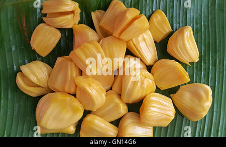 Jackfrüchte auf Bananenblatt Stockfoto