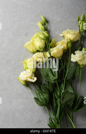 Reihe von Eustoma auf grauem Hintergrund, Blumen oben Stockfoto