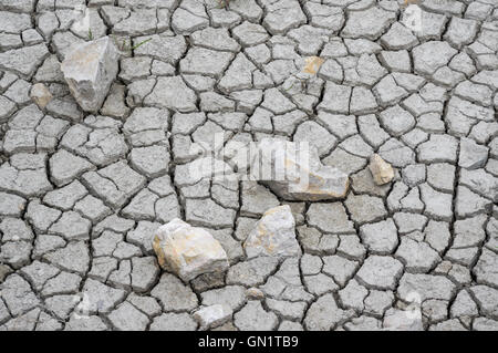 Gebrochene Schlamm mit Felsen in einem Teich, Camargue, Frankreich Stockfoto