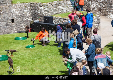 Frühling Fayre in Pembroke Castle - mittelalterliche Tag Stockfoto