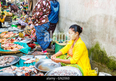 Lokalen burmesischen Frau in einer gelben Jacke sitzen arbeiten, Zubereitung und Verkauf von Fisch in der Tha Ya Zay Railway Bazaar, Mandalay, Myanmar (Burma) Stockfoto