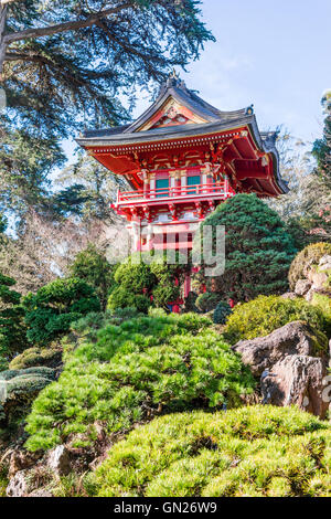 Japanese Tea Garden in San Francisco Stockfoto