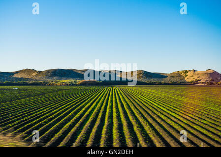 California coastal Route 1 Meer Blick Laufwerk Stockfoto