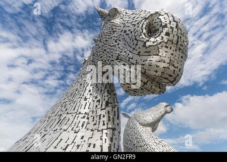 Edinburgh, UK. 27. August 2016. Die Kelpies, entworfen von Andy Scott in Falkirk an einem Sommertag. Bildnachweis: Richard Dyson/Alamy Live-Nachrichten Stockfoto