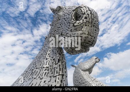 Edinburgh, UK. 27. August 2016. Die Kelpies, entworfen von Andy Scott in Falkirk an einem Sommertag. Bildnachweis: Richard Dyson/Alamy Live-Nachrichten Stockfoto