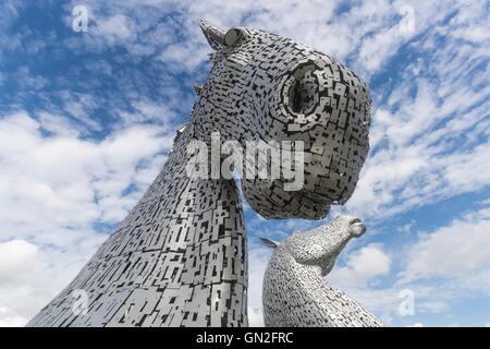 Edinburgh, UK. 27. August 2016. Die Kelpies, entworfen von Andy Scott in Falkirk an einem Sommertag. Bildnachweis: Richard Dyson/Alamy Live-Nachrichten Stockfoto