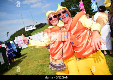 Aberystwyth Wales UK, Samstag, 27. August 2016 Tausende Menschen, darunter viele wunderbare verkleidet, Sonnen August Bank Holiday Wochenende beim großen Tribute Music Festival am Lovesgrove am Stadtrand von Aberystwyth. Das Festival, das einzige seiner ind in Wales vereint Partituren der besten Tribute-Bands des Landes. Bildnachweis: Keith Morris/Alamy Live-Nachrichten Stockfoto