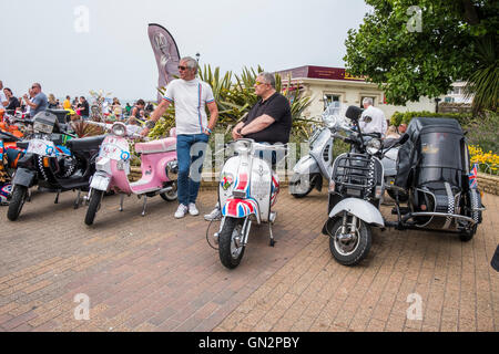 Isle Of Wight, UK. 27. August 2016. Weltweit größte Sammlung von Vintage und moderne Scooter - The Isle Of Wight International Scooter Rally 2016 das erste Isle Of Wight International Scooter Rally wurde im Jahr 1980 hat, Rollerfahrer kommen jedes Jahr im August da, mit geschätzten 5000 Fahrer und Bikes von British Scooter Rally Association und das VFM Scooter Kollektiv organisierte, der Rallye an Stärke jedes Jahr. Bildnachweis: Paul Chambers/Alamy Live-Nachrichten Stockfoto