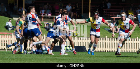 Sydney, Australien. 28. August 2016. Sydney Ryas Vs Western Sydney Rams in Runde 1 der nationalen Rugby-Meisterschaft in North Sydney Oval. Bildnachweis: Mjmediabox/Alamy Live-Nachrichten Stockfoto