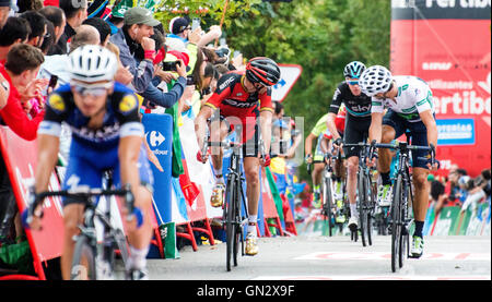 Oviedo, Spanien. 28. August 2016. Samuel Sanchez (BMC Pro Cycling Team), Alejandro Valverde (Movistar Team) und Chris Froome (Team Sky) Oberfläche der 9. Etappe des Radsports Rennen "La Vuelta a España" (Spanien-Rundfahrt) zwischen Cistierna und Klettern von Naranco am 28. August 2016 in Oviedo, Spanien. Bildnachweis: David Gato/Alamy Live-Nachrichten Stockfoto