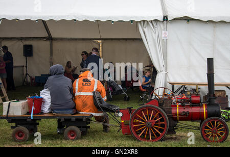 Stapleford Park Melton Mowbray 28. August 2016. Größte Ereignis in der Vereinsgeschichte Jahreskalender ein drei Tages-Dampf-Rallye, Features der historischen operative Miniatur-Eisenbahn nur offen für allgemeine öffentliche zwei Wochenenden Jahres, Sammler Stände, Traktor Dampfmaschinen. © Clifford Norton/Alamy Leben Stockfoto