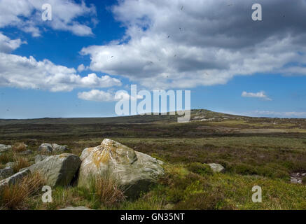 Wolfhole Crag aus gesehen, über die Gullery an weißen Felsen im Wald von Bowland Stockfoto