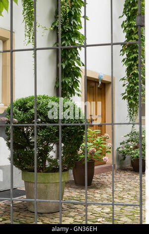 Blick durch ein Tor mit Metallstangen in einem niedlichen kleinen Innenhof. Stockfoto