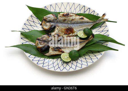 Gegrillter Fisch (Stöcker), japanische Küche, isoliert auf weißem Hintergrund Stockfoto