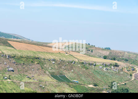 Ernte Bauernhof auf dem hohen Berg in der Nähe der Nationalparks im Norden von Thailand. Stockfoto