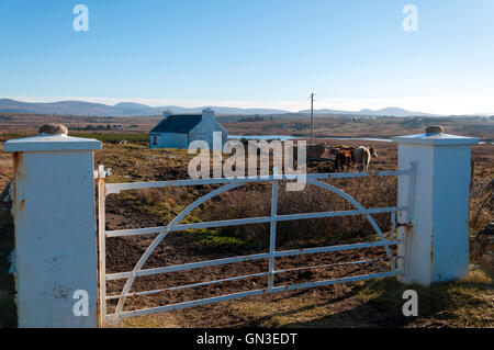 Kleine Farm in der Nähe von Burtonport in ländlichen Grafschaft Donegal, Irland Stockfoto