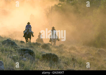 WY00874-00... WYOMING - Emily Melvin John Melvin und Katharine Falco auf Pferd zurück auf der CM-Ranch in der Nähe von Dubois. HERR # M16 M17 F1 Stockfoto