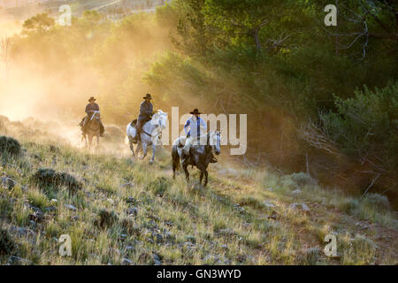 WY00875-00... WYOMING - Emily Melvin John Melvin und Katharine Falco auf Pferd zurück auf der CM-Ranch in der Nähe von Dubois. HERR # M16 M17 F1 Stockfoto