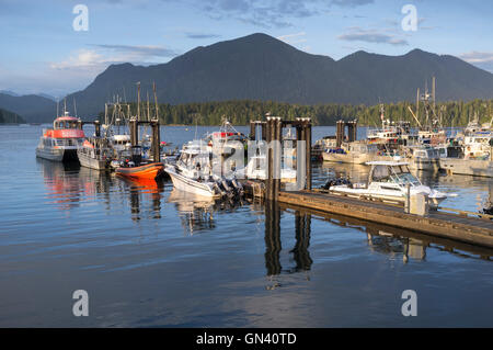 Tofino, Kanada: Fischerei und Tour Boote bei den Tofino dock am Clayoquot Sound. In der Ferne ist Mount Colnett auf Meares Island. Stockfoto