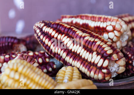 Nahaufnahme einer Tabelle mit natürlichen Produkten, die zum Färben von Kleidung in traditionellen peruanischen Stilen und Farben verwendet Stockfoto