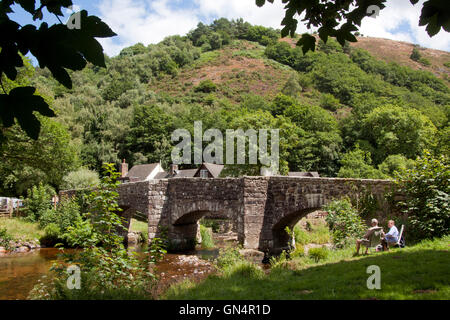 Fingle Bridge, ein 17. Jahrhundert Stein Bogenbrücke über den Fluß Teign in der Nähe von Drewsteignton, im Dartmoor National Park, Devon Stockfoto