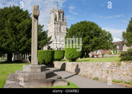 "Königin der Axt" St Andrews Norman 11. Jahrhundert Pfarrei Kirche, Colyton mit 14. C achteckigen Laterne Turm Coly Tal, Devon Stockfoto