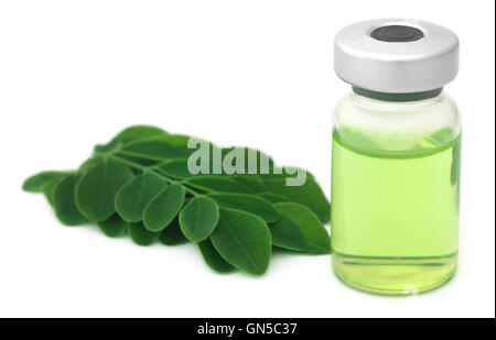 Moringa Blätter mit Extrakt in einem Fläschchen auf weißem Hintergrund Stockfoto