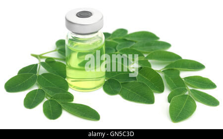 Moringa Blätter mit Extrakt in einem Fläschchen auf weißem Hintergrund Stockfoto