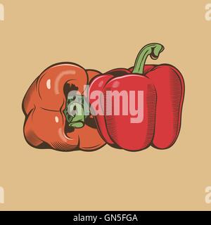Paprika im Vintage-Stil. Farbige Vektor-illustration Stock Vektor