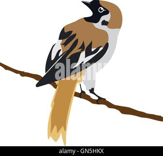 Spatz Stock Vektor