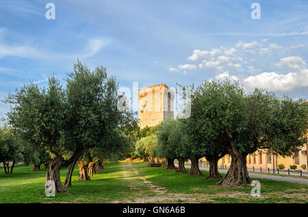 Castiglione del Lago (Umbrien) Fortezza Stockfoto