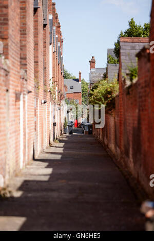 schmale Gasse zwischen viktorianischen Reihenhäusern und Stadthäuser in South Belfast uk Stockfoto